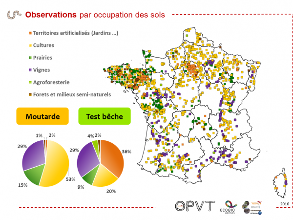 OPVT Result3 DistributionSpatialeObservation OccupSol