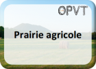 Saisie Prairie